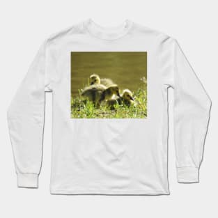 Baby goslings, Canadian Geese, wildlife gifts Long Sleeve T-Shirt